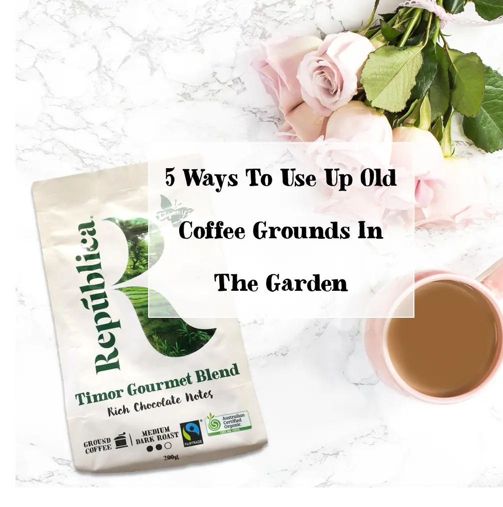 5 Ways To Use Up Old Coffee Grounds In The Garden República